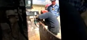 зібралася