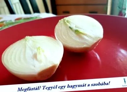 лука антивирусен