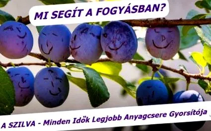 ускорител всички
