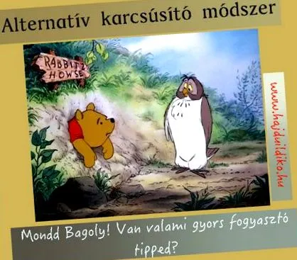 алтернативна лепенки отслабване