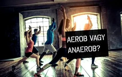 обучение аеробно