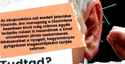 част тялото орган част тялото