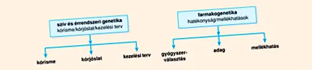 фракция лечение фракция