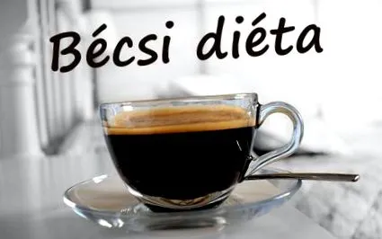рецензии виенска