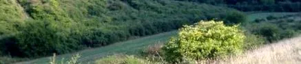 прегръдката балатонкилити