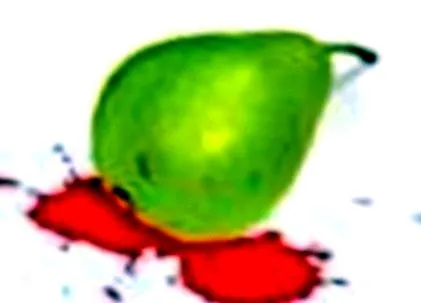 фундук