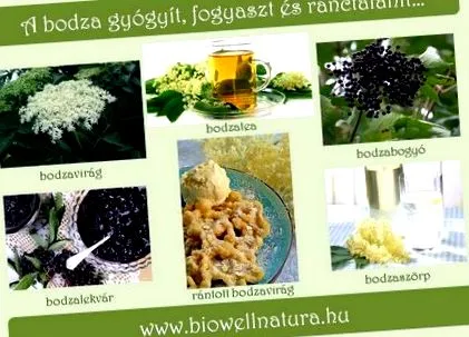 біоуелл