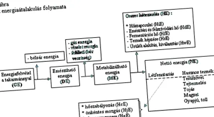 сутиен телесни
