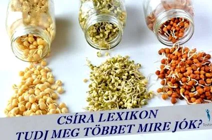 зародиши зародиши