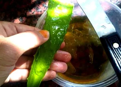 енергична леля