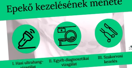 жлъчката жлъчката