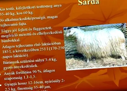 отслабване барселона