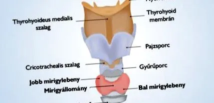 връзката каква