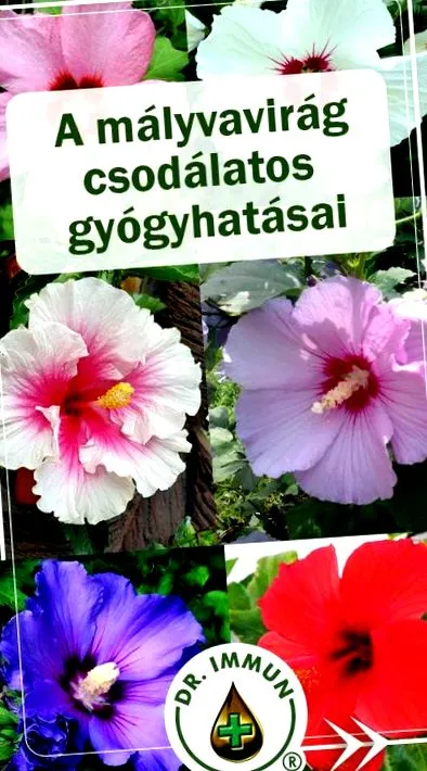 слез здраве