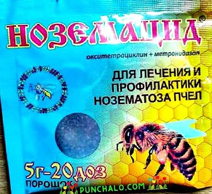 worm най-големият