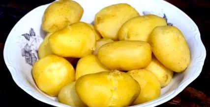 картоф можете