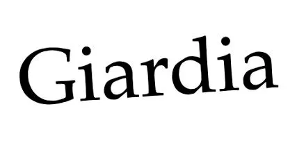 giardia giardia