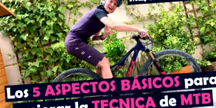 ciclo21