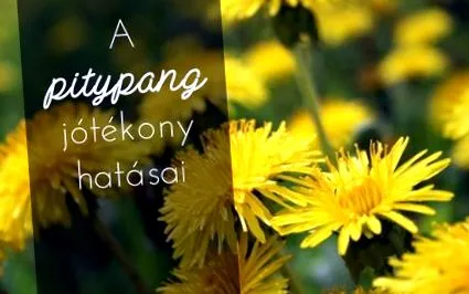 полезни полезни