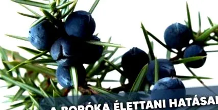 етеричното масло хвойна