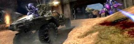 halo beta