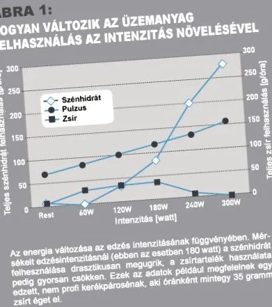 спалювання жиру спалити