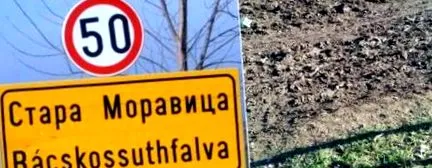 откажете пушенето