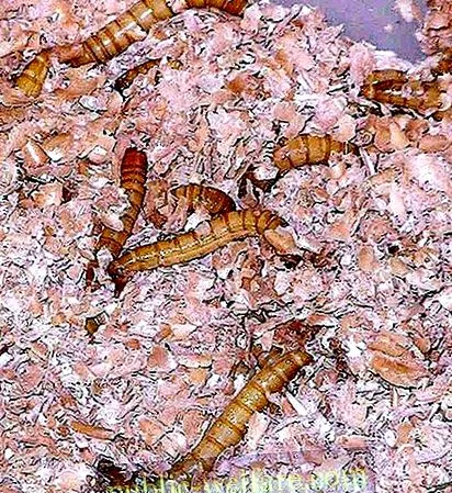 стежать індекс