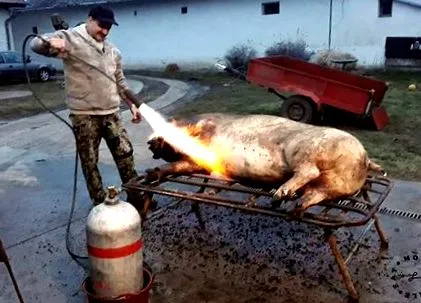 помогне зелен