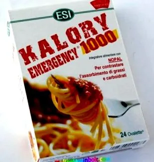 1000 kalory