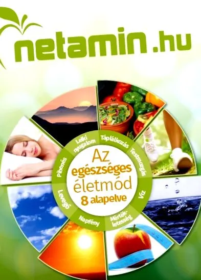 webshop webshop