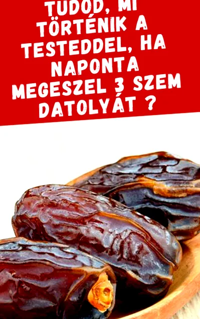 липолизатор липолизатор