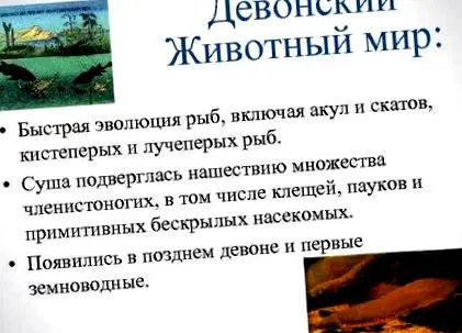 science странният