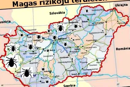 болест лаймска