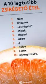 енциклопедия мазнина