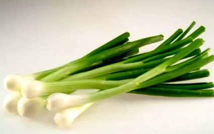 зелена цибуля