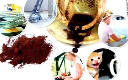 кафе утайката