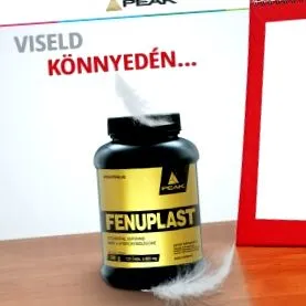 факторите факторите