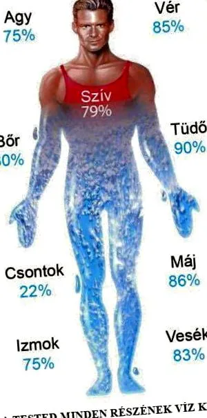 вода литра