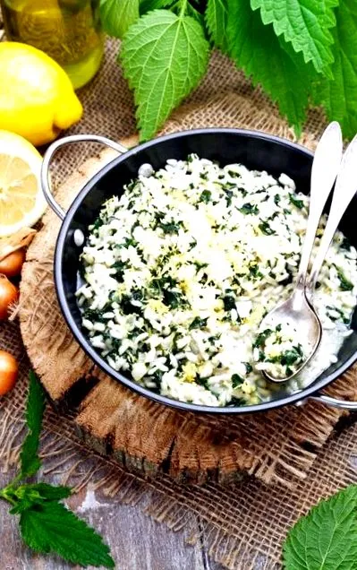 результати результати