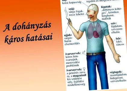можете можете