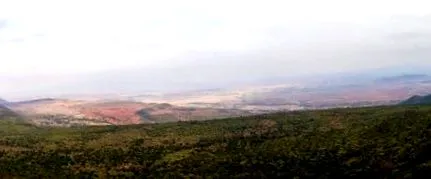 napon