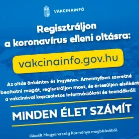 домашнім