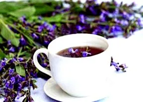 листа градински salvia