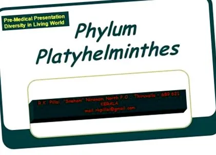 aschelminthes phylum