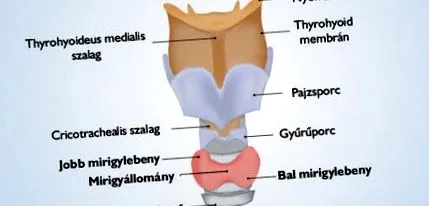 щитовидната хирургия