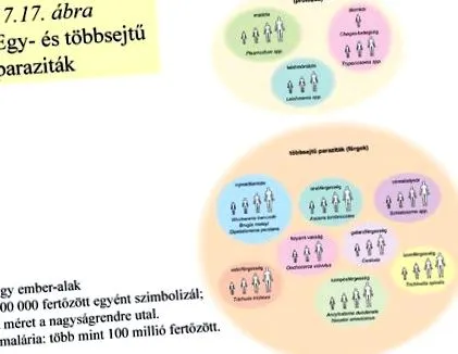 виведення паразитів