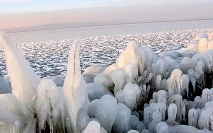 зимното редки