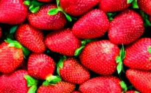 мисли мисли