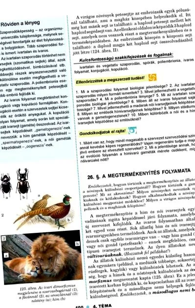 набір ваги
